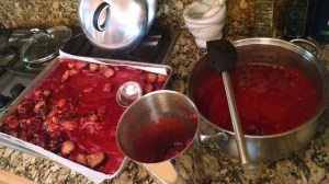 IMG_20150624_112504992